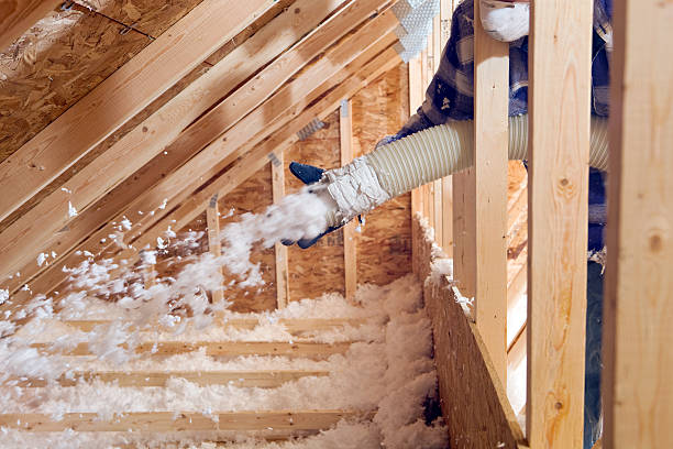 Best Basement Insulation  in Essex Junction, VT